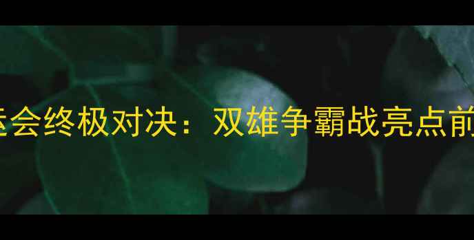 图片 广东VS辽宁全运会终极对决：双雄争霸战亮点前瞻与历史交锋2