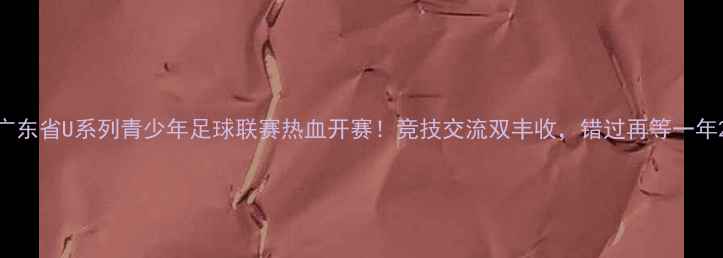 图片 广东省U系列青少年足球联赛热血开赛！竞技交流双丰收，错过再等一年2