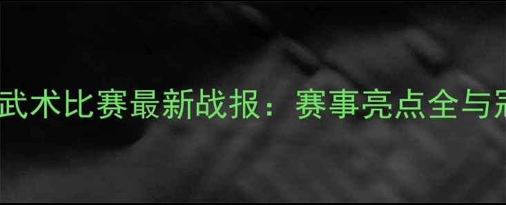 图片 度国内国家级武术比赛最新战报：赛事亮点全与冠军诞生纪实2