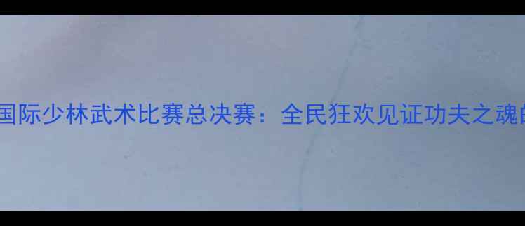 图片 度河南登封国际少林武术比赛总决赛：全民狂欢见证功夫之魂的巅峰对决1