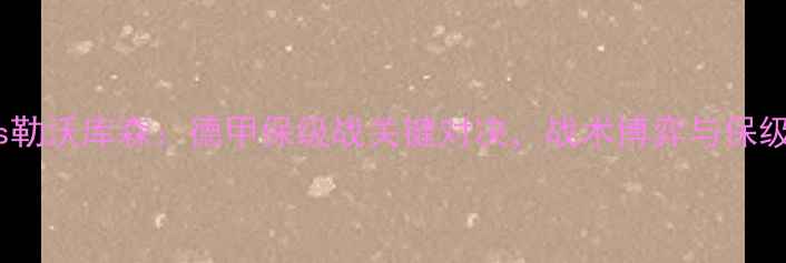 图片 弗赖堡vs勒沃库森：德甲保级战关键对决，战术博弈与保级悬念全1