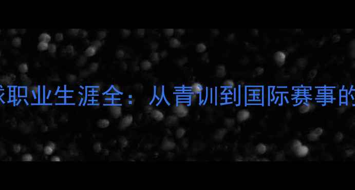 图片 张辉乒乓球职业生涯全：从青训到国际赛事的崛起之路2