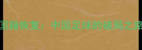 图片 归化球员与国籍恢复：中国足球的破局之路与未来展望