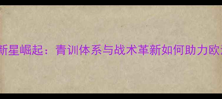 图片 德国国奥队巴西新星崛起：青训体系与战术革新如何助力欧洲杯冲击冠军？2