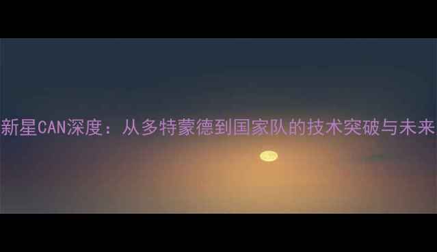 图片 德国新星CAN深度：从多特蒙德到国家队的技术突破与未来展望