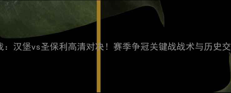 图片 德甲焦点战：汉堡vs圣保利高清对决！赛季争冠关键战战术与历史交锋全回顾1