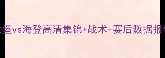 图片 德甲焦点战：纽伦堡vs海登高清集锦+战术+赛后数据报告（附精彩瞬间）
