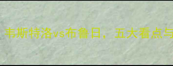 图片 德甲焦点战：韦斯特洛vs布鲁日，五大看点与战术全攻略2