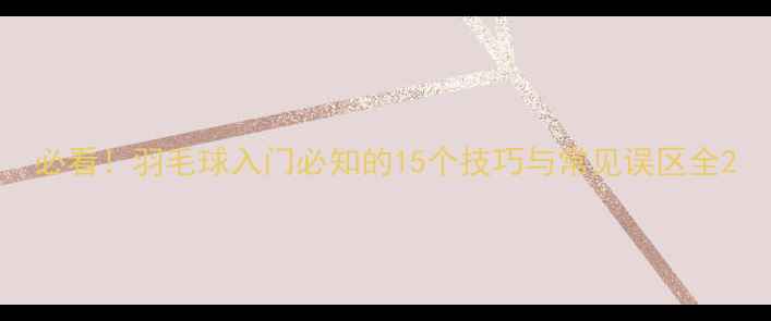 图片 必看！羽毛球入门必知的15个技巧与常见误区全2