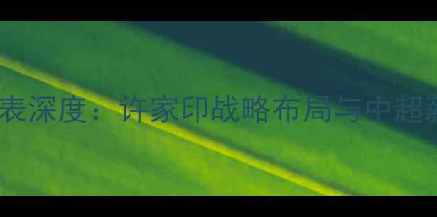 图片 恒大球员工资表深度：许家印战略布局与中超薪资结构变迁1