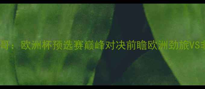 图片 意大利vs摩洛哥：欧洲杯预选赛巅峰对决前瞻欧洲劲旅VS非洲雄鹰战术1