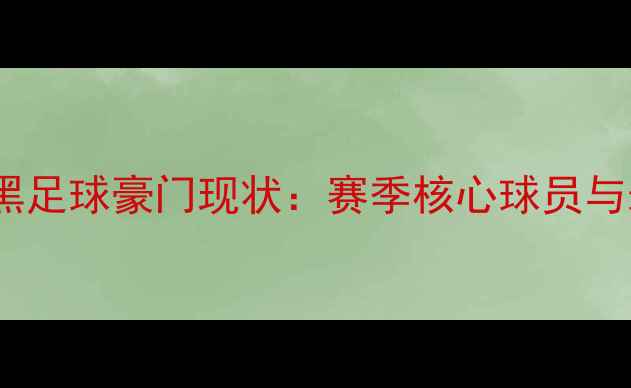 图片 拜仁慕尼黑足球豪门现状：赛季核心球员与未来展望1