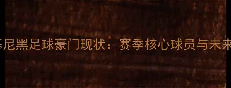 图片 拜仁慕尼黑足球豪门现状：赛季核心球员与未来展望2