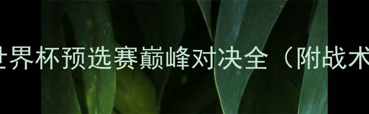 图片 日本VS厄瓜多尔：世界杯预选赛巅峰对决全（附战术拆解与历史数据）2