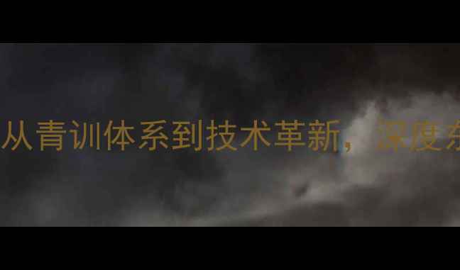图片 日本乒乓球崛起之谜：从青训体系到技术革新，深度东道主背后的成功密码2