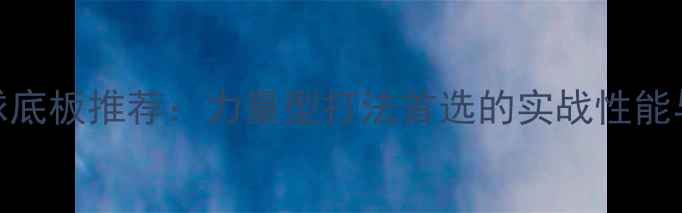 图片 暴力乒乓球底板推荐：力量型打法首选的实战性能与最新测评