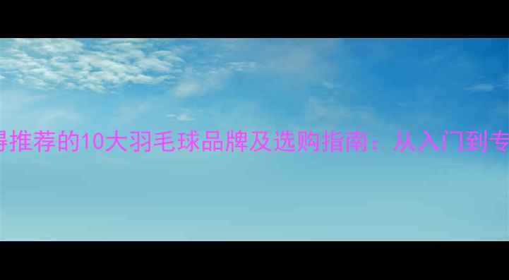 图片 最值得推荐的10大羽毛球品牌及选购指南：从入门到专业全2