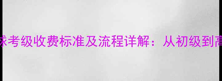 图片 最新乒乓球考级收费标准及流程详解：从初级到高级全攻略
