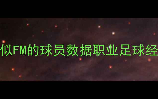 图片 最新版：类似FM的球员数据职业足球经理必看指南
