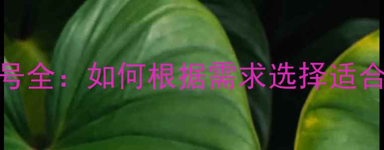 图片 最新羽毛球型号全：如何根据需求选择适合自己的球款？