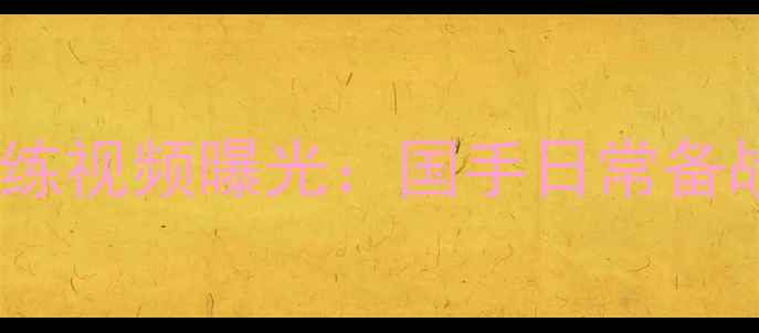 图片 朱李华羽毛球训练视频曝光：国手日常备战与技战术突破1