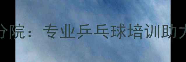 图片 李佳薇乒乓球学院深圳分院：专业乒乓球培训助力青少年成长与竞技提升