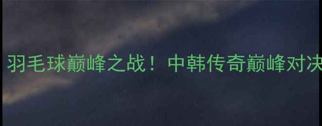 图片 林丹VS孙完虎：羽毛球巅峰之战！中韩传奇巅峰对决，谁将问鼎？2