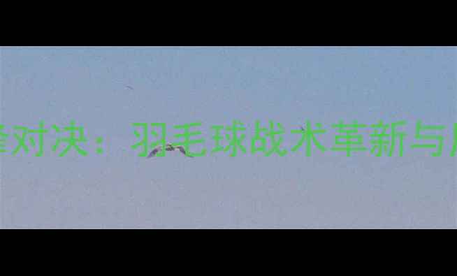 图片 林丹VS安赛龙巅峰对决：羽毛球战术革新与历史性战役的深度