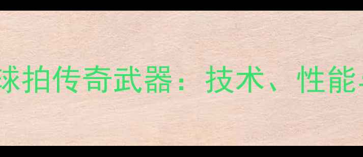 图片 林丹羽毛球球拍传奇武器：技术、性能与选购指南2