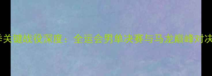 图片 林高远赛季关键战役深度：全运会男单决赛与马龙巅峰对决技术复盘2