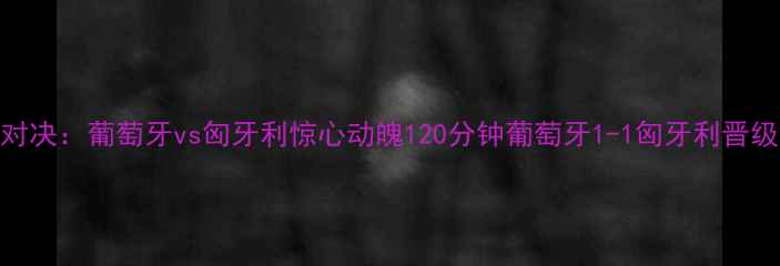 图片 欧洲杯经典对决：葡萄牙vs匈牙利惊心动魄120分钟葡萄牙1-1匈牙利晋级四强全纪录