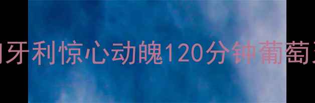 图片 欧洲杯经典对决：葡萄牙vs匈牙利惊心动魄120分钟葡萄牙1-1匈牙利晋级四强全纪录2