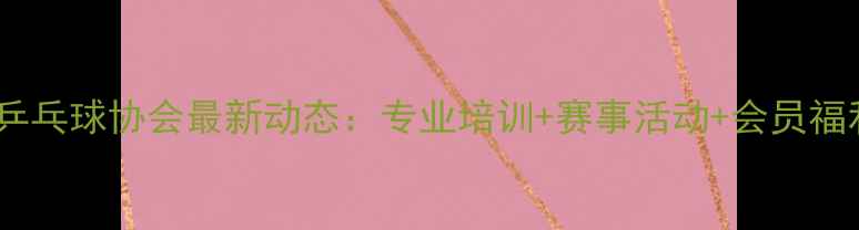 图片 武汉乒乓球协会最新动态：专业培训+赛事活动+会员福利全2