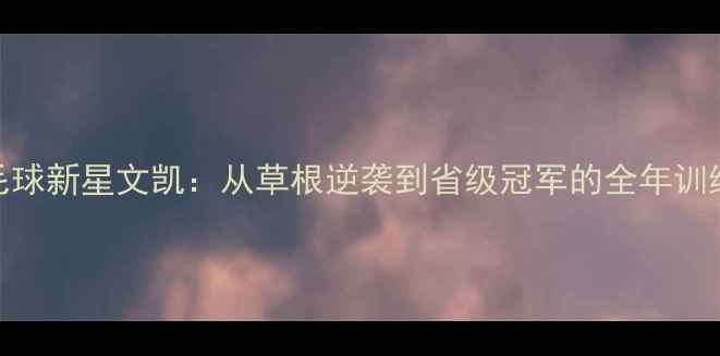 图片 武汉羽毛球新星文凯：从草根逆袭到省级冠军的全年训练全记录
