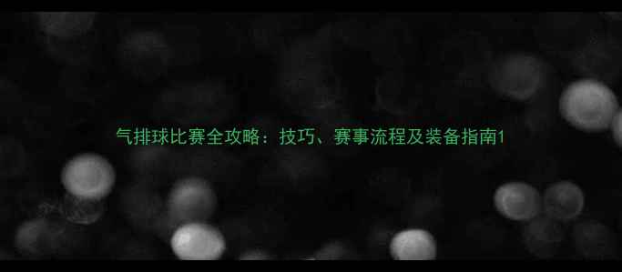 图片 气排球比赛全攻略：技巧、赛事流程及装备指南1