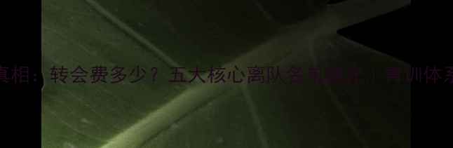 图片 永昌卖球员背后的真相：转会费多少？五大核心离队名单曝光｜青训体系与俱乐部危机深度
