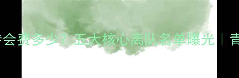 图片 永昌卖球员背后的真相：转会费多少？五大核心离队名单曝光｜青训体系与俱乐部危机深度1