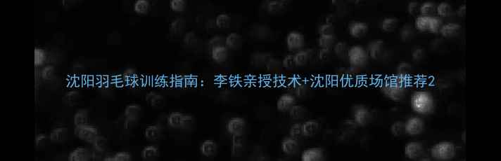 图片 沈阳羽毛球训练指南：李铁亲授技术+沈阳优质场馆推荐2