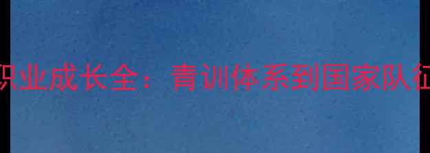 图片 法国新星Aouar职业成长全：青训体系到国家队征战的蜕变之路1