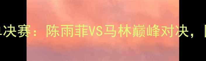 图片 法国羽毛球公开赛女单决赛：陈雨菲VS马林巅峰对决，国羽新星封后震撼全场