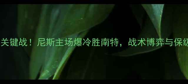图片 法甲争冠关键战！尼斯主场爆冷胜南特，战术博弈与保级悬念全1