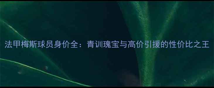 图片 法甲梅斯球员身价全：青训瑰宝与高价引援的性价比之王