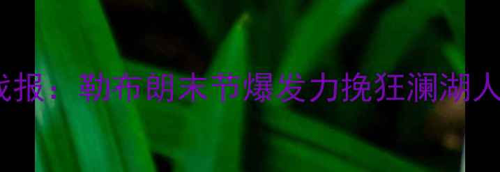 图片 湖人VS热火总决赛G6战报：勒布朗末节爆发力挽狂澜湖人加时险胜锁定总冠军2