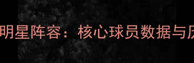 图片 湖人队赛季全明星阵容：核心球员数据与历史表现分析2