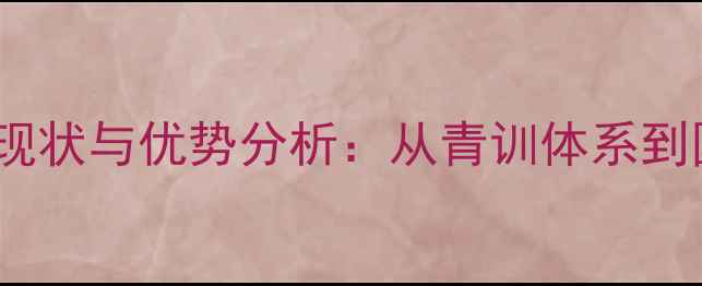 图片 湖南乒乓球发展现状与优势分析：从青训体系到国际赛事的全面2