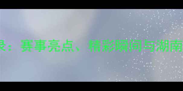 图片 湖南羽毛球联赛全纪录：赛事亮点、精彩瞬间与湖南羽毛球运动发展分析2
