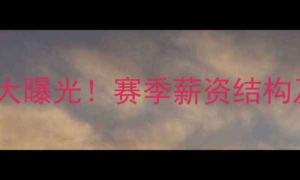 图片 热刺队球员年薪大曝光！赛季薪资结构及收入对比分析1
