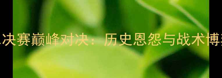 图片 热火vs小牛总决赛巅峰对决：历史恩怨与战术博弈的终极较量