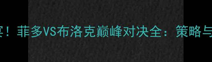 图片 热血体育盛宴！菲多VS布洛克巅峰对决全：策略与热血的碰撞2