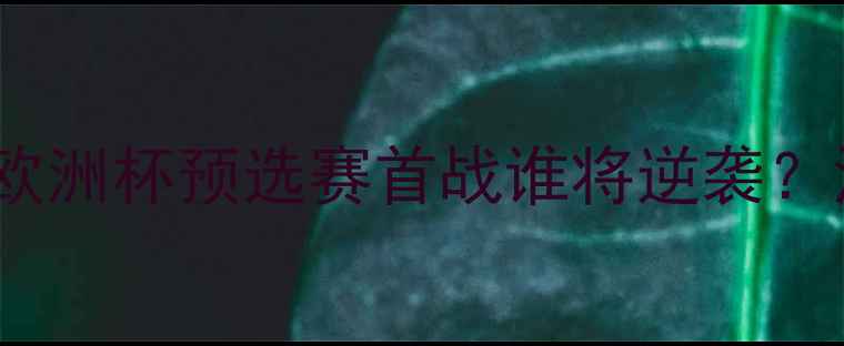 图片 焦点战法罗群岛VS拉脱维亚：欧洲杯预选赛首战谁将逆袭？深度两队历史恩怨与战术博弈1
